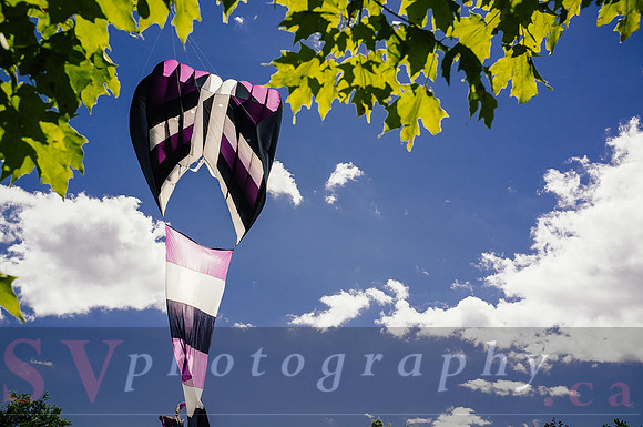 Kite Photographer