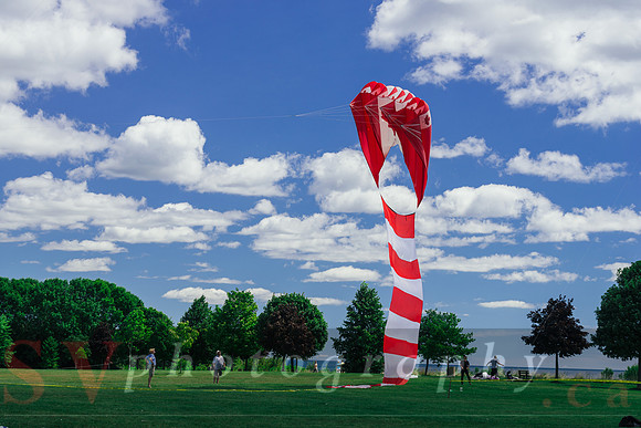Kite Photographer