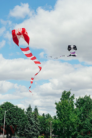 Kite Photographer