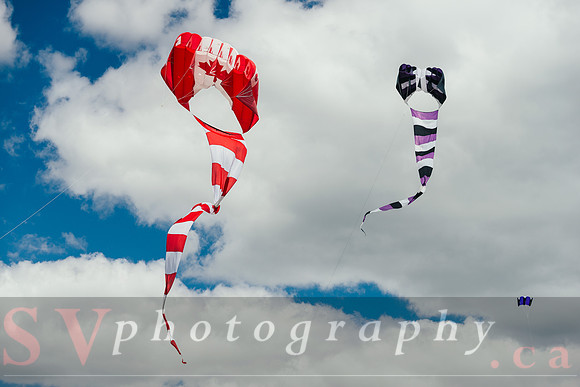 Kite Photographer