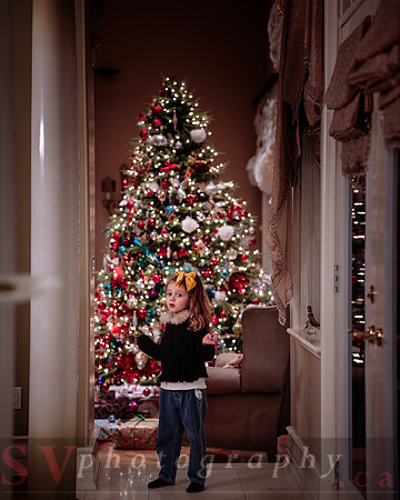 Big Greek Christmas