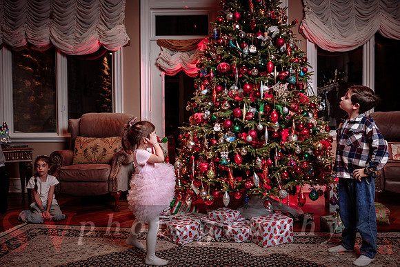 Big Greek Christmas