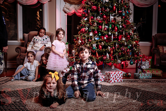 Big Greek Christmas