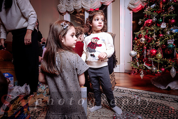 Big Greek Christmas