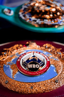 Shaw Boxing 2022
