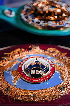 Shaw Boxing 2022