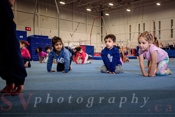 Mississauga Gymnastics