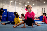 Mississauga Gymnastics
