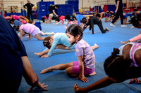 Mississauga Gymnastics