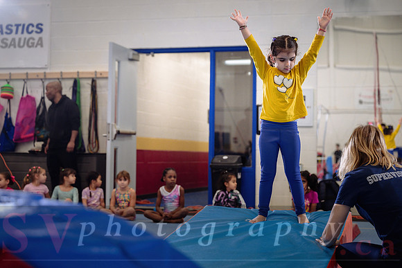 Mississauga Gymnastics