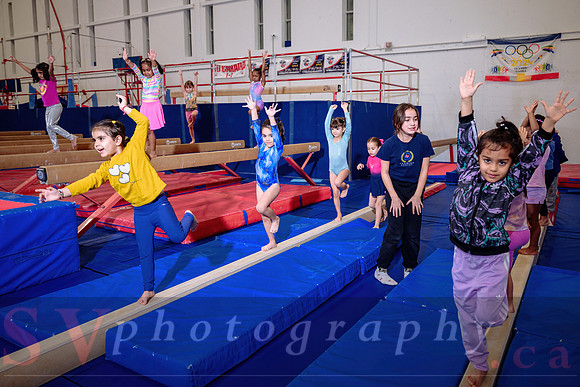 Mississauga Gymnastics