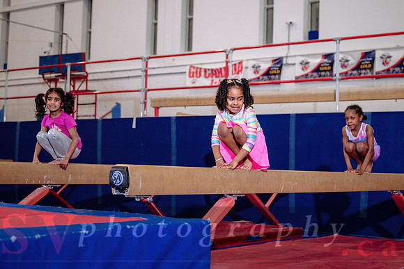 Mississauga Gymnastics