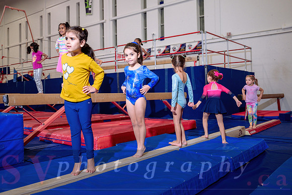 Mississauga Gymnastics
