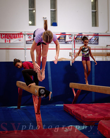 Mississauga Gymnastics