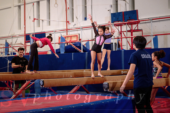 Mississauga Gymnastics