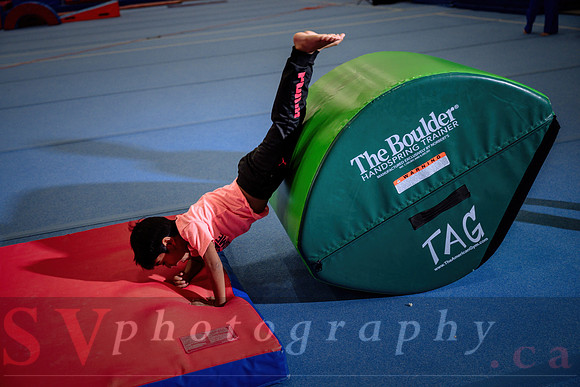 Mississauga Gymnastics
