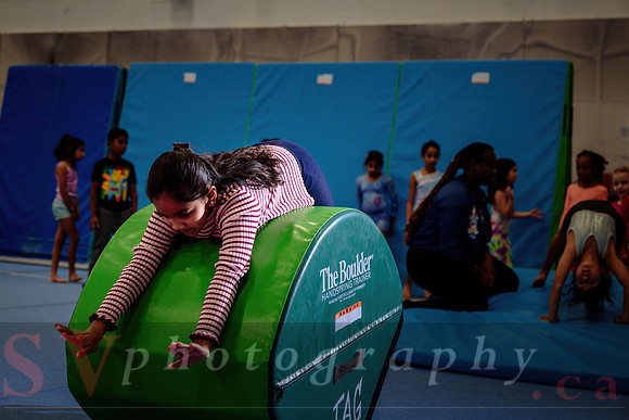 Mississauga Gymnastics