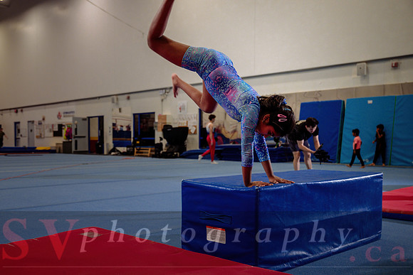 Mississauga Gymnastics