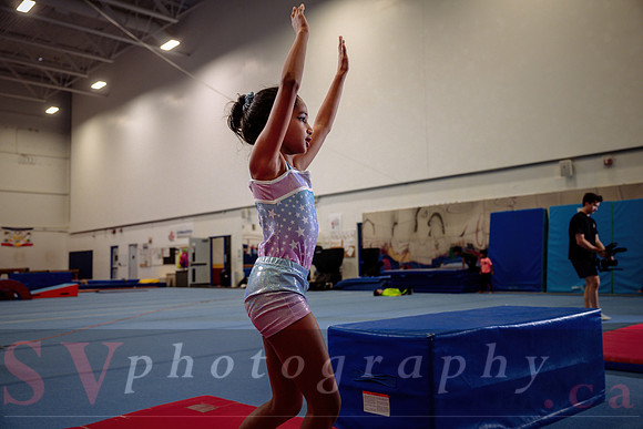 Mississauga Gymnastics