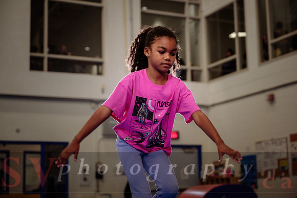 Mississauga Gymnastics