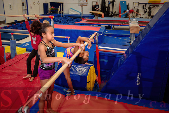 Mississauga Gymnastics