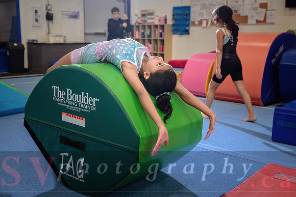 Mississauga Gymnastics