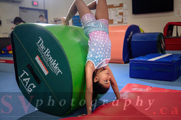 Mississauga Gymnastics