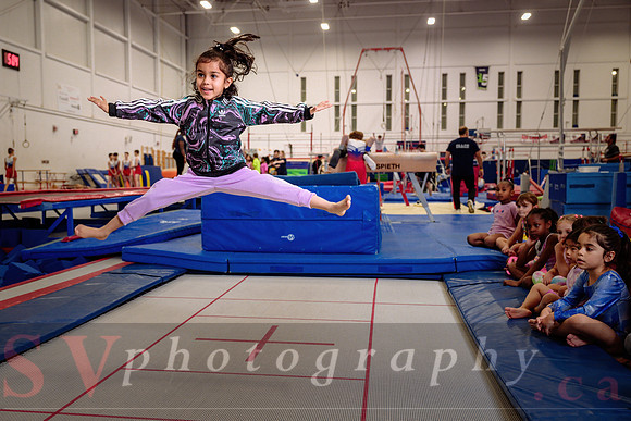 Mississauga Gymnastics