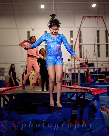 Mississauga Gymnastics