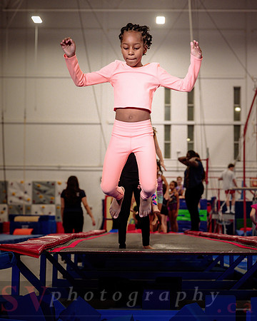 Mississauga Gymnastics