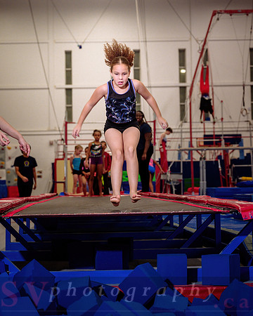 Mississauga Gymnastics