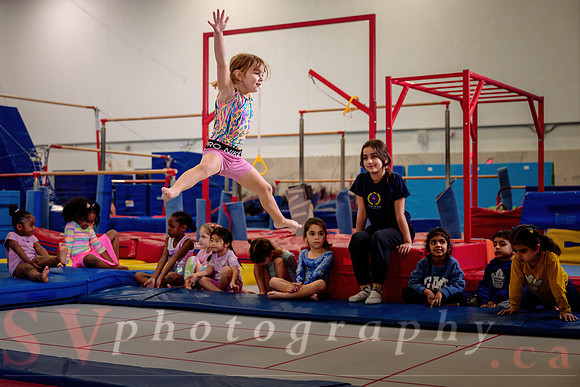 Mississauga Gymnastics