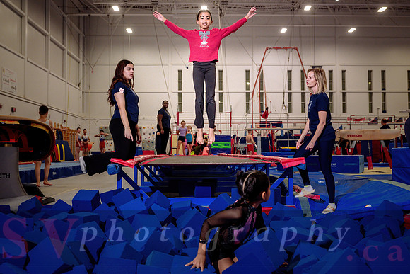 Mississauga Gymnastics