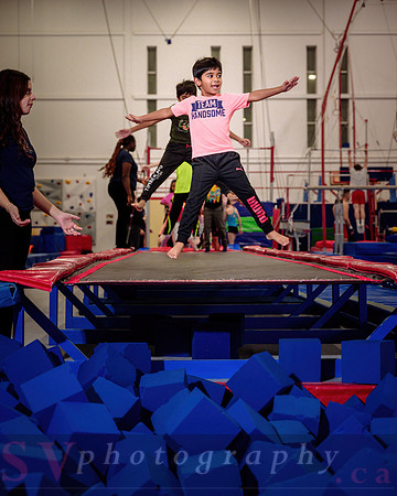 Mississauga Gymnastics