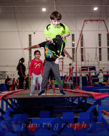 Mississauga Gymnastics