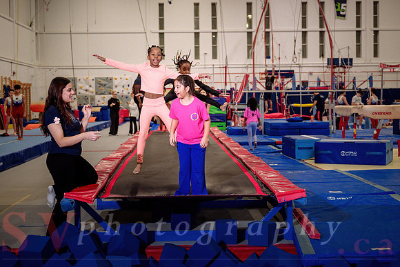 Mississauga Gymnastics
