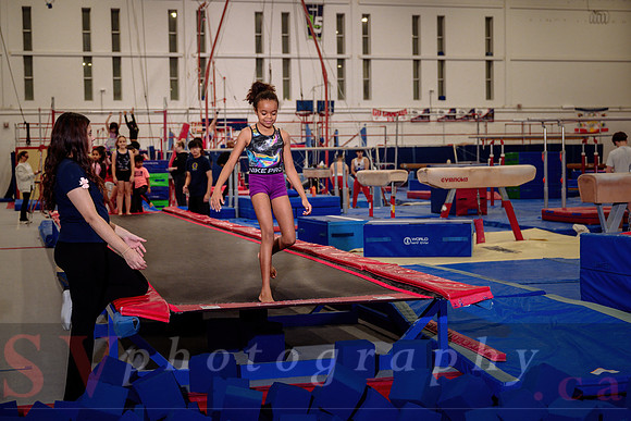 Mississauga Gymnastics