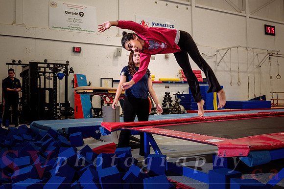 Mississauga Gymnastics