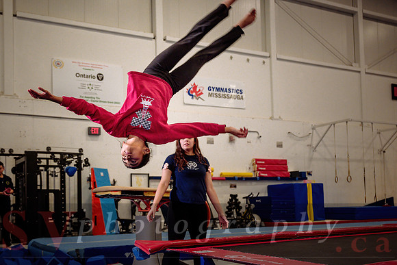Mississauga Gymnastics