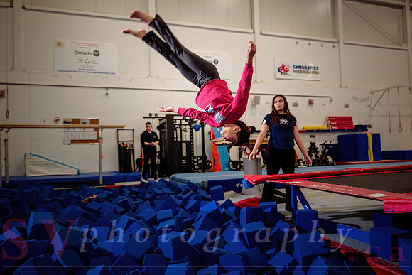 Mississauga Gymnastics