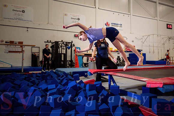 Mississauga Gymnastics