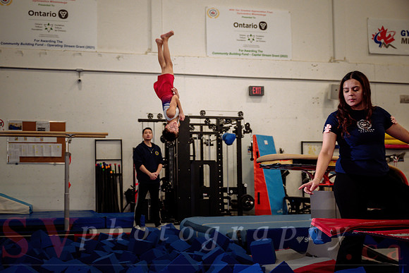 Mississauga Gymnastics