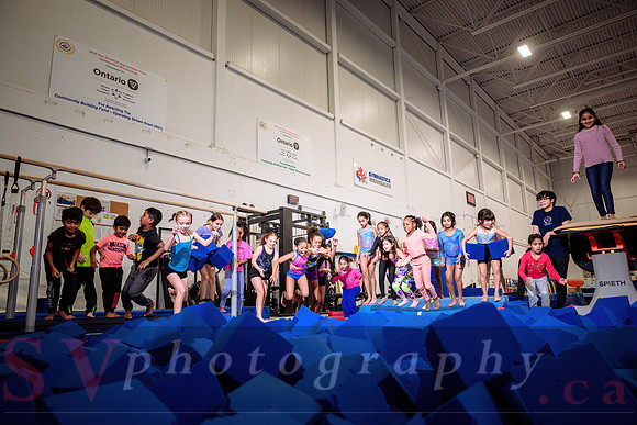 Mississauga Gymnastics