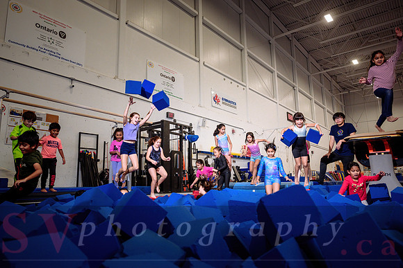 Mississauga Gymnastics
