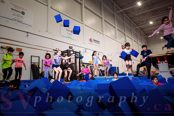 Mississauga Gymnastics