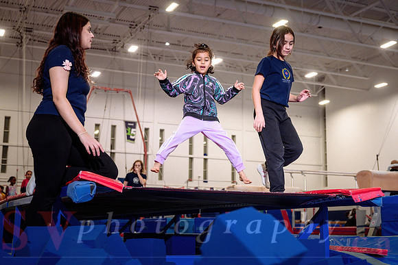 Mississauga Gymnastics