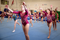 Mississauga Gymnastics