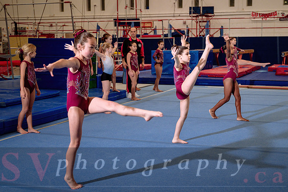 Mississauga Gymnastics