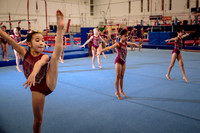 Mississauga Gymnastics