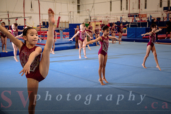 Mississauga Gymnastics